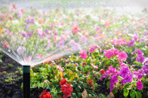 Residential Irrigation