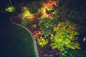 Reasons to Add Landscape Lighting to Your Yard