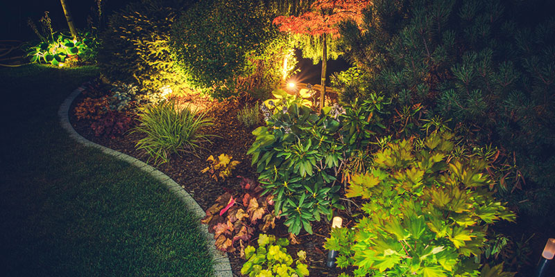 Reasons to Add Landscape Lighting to Your Yard